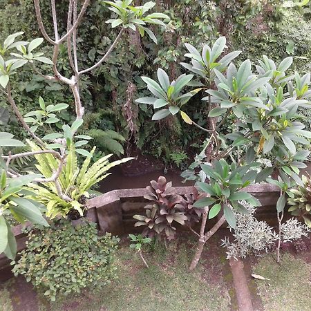 Dewi Ayu Accomodation Ubud Dış mekan fotoğraf