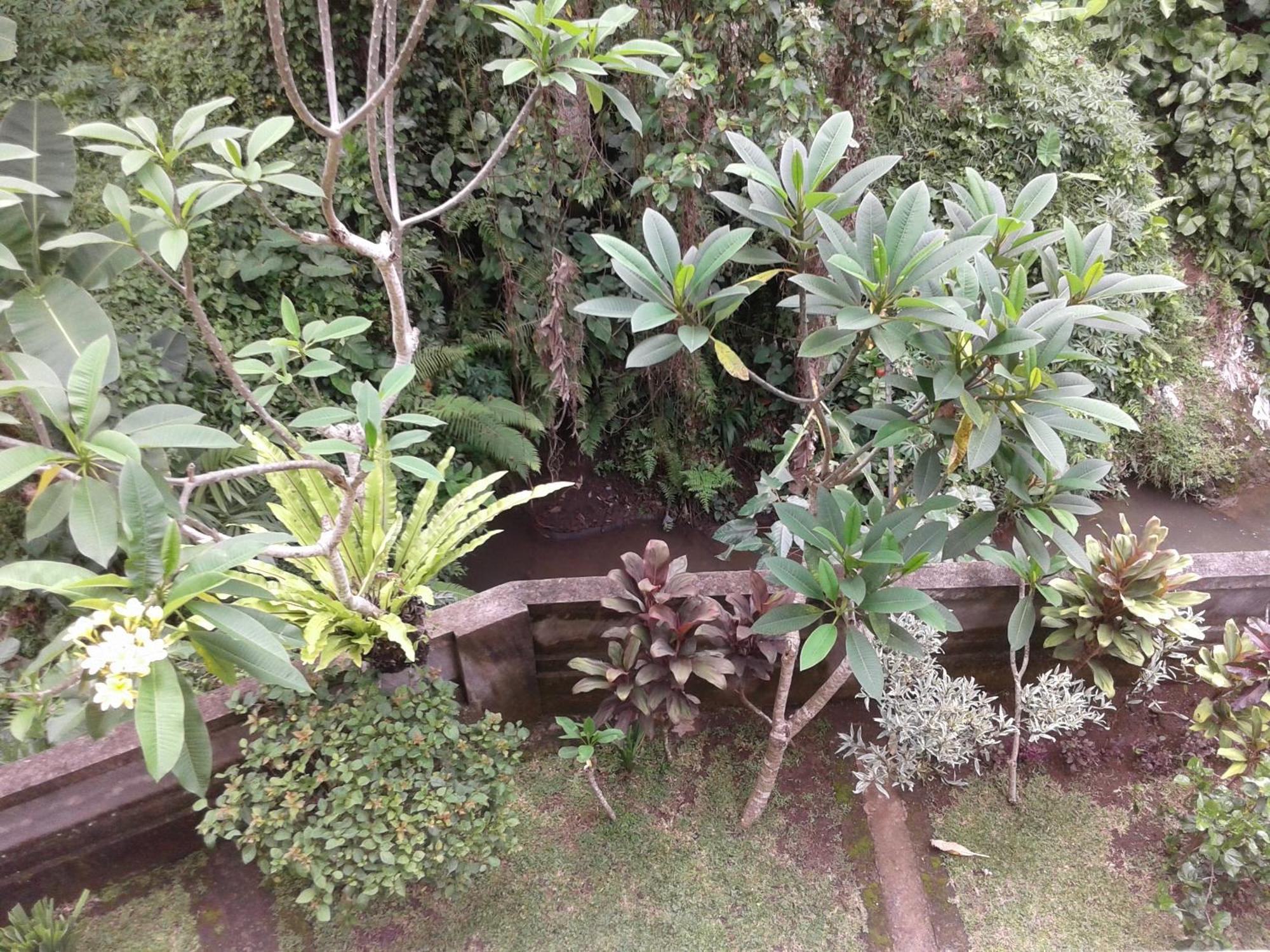 Dewi Ayu Accomodation Ubud Dış mekan fotoğraf
