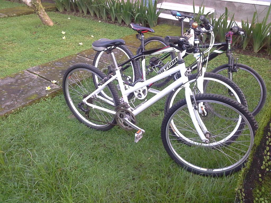 Dewi Ayu Accomodation Ubud Dış mekan fotoğraf